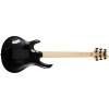 PRS SE Chleo Mantis Burst