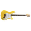 PRS SE Silver Sky RW Dandy Lion