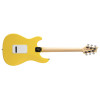 PRS SE Silver Sky RW Dandy Lion
