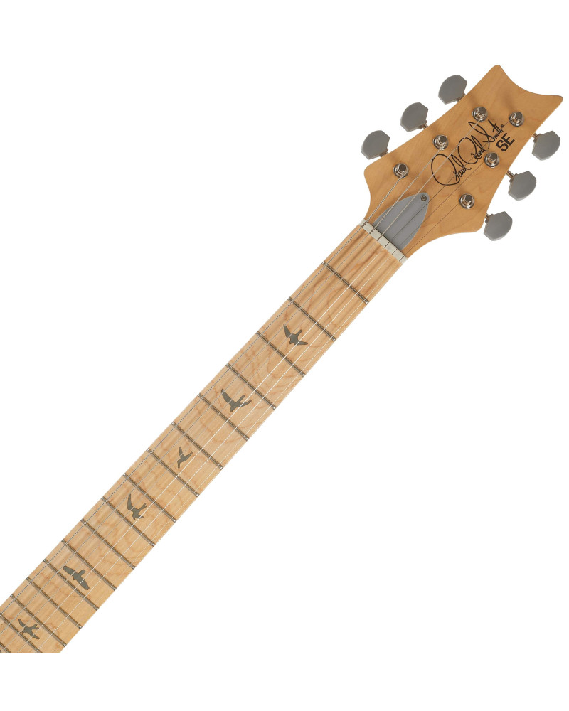 PRS SE Silver Sky MN Stone Blue