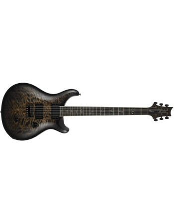 PRS Mark Holcomb Charcoal Wraparound Burst