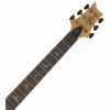 PRS SE Studio Standard Sage Green 2026