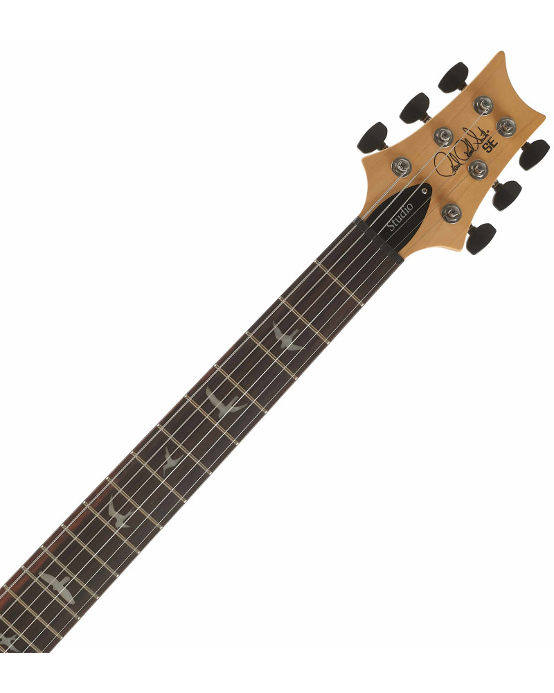 PRS SE Studio Standard Sage Green 2026