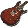 PRS SE Custom 24 Semi-Hollow Piezo Orange Tiger Smokeburst 2026