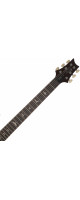 PRS SE Studio Orange Tiger Smokeburst 2026