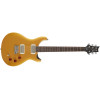 PRS SE DGT Moons Gold Top 2026