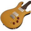PRS SE DGT Moons Gold Top 2026