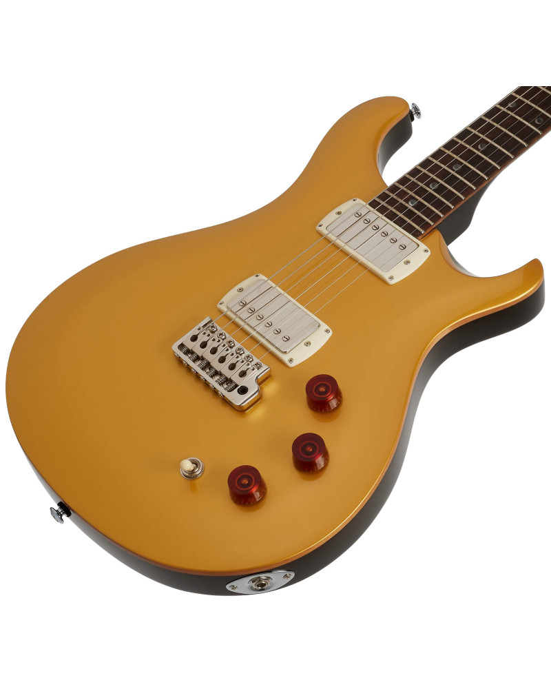 PRS SE DGT Moons Gold Top 2026