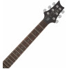 PRS SE DGT Moons Gold Top 2026