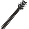 PRS SE DGT Moons Gold Top 2026