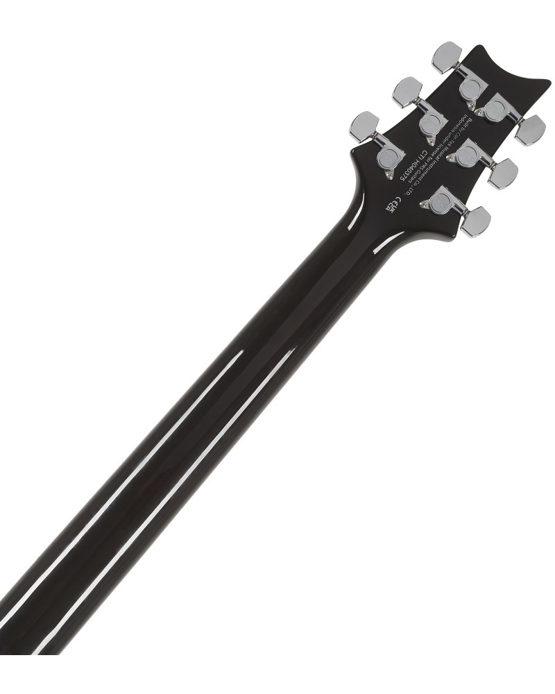 PRS SE DGT Moons Gold Top 2026