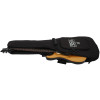 PRS SE DGT Moons Gold Top 2026
