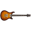 PRS SE DGT Birds Mccarty Tobacco Sunburst 2026