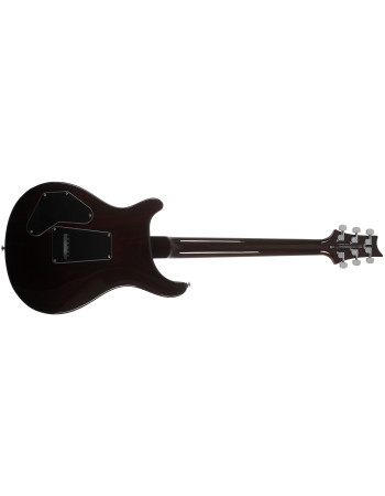 PRS SE DGT Birds Mccarty Tobacco Sunburst 2026