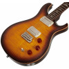 PRS SE DGT Birds Mccarty Tobacco Sunburst 2026