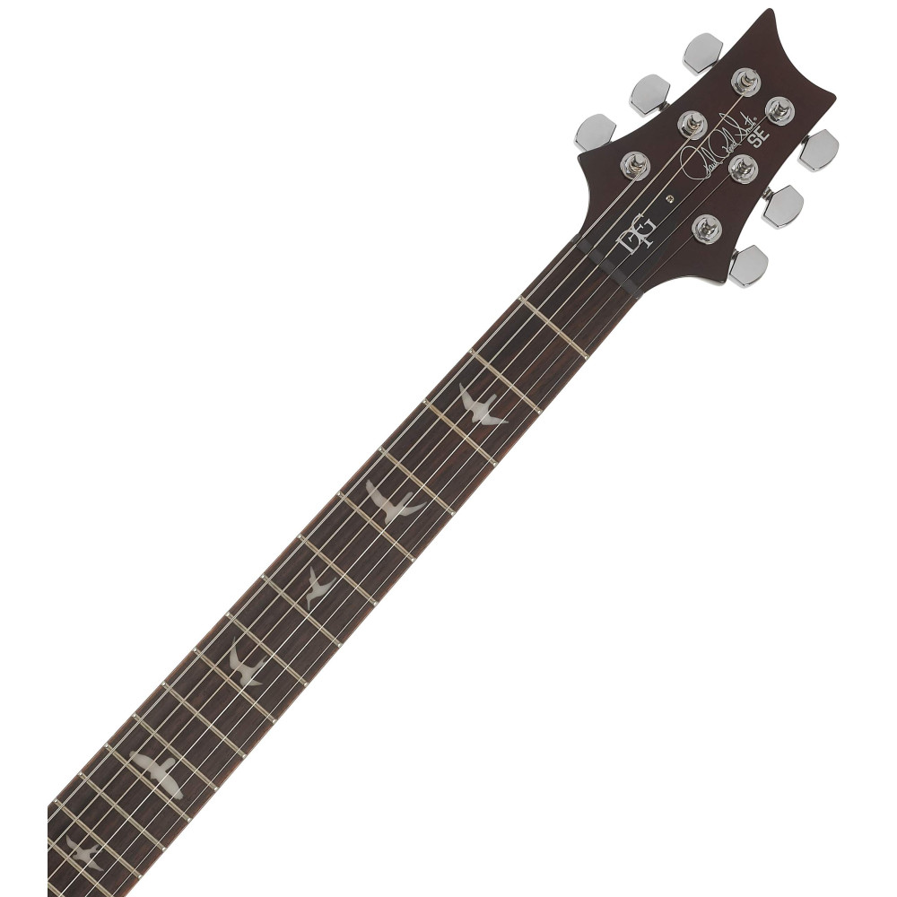 PRS SE DGT Birds Mccarty Tobacco Sunburst 2026