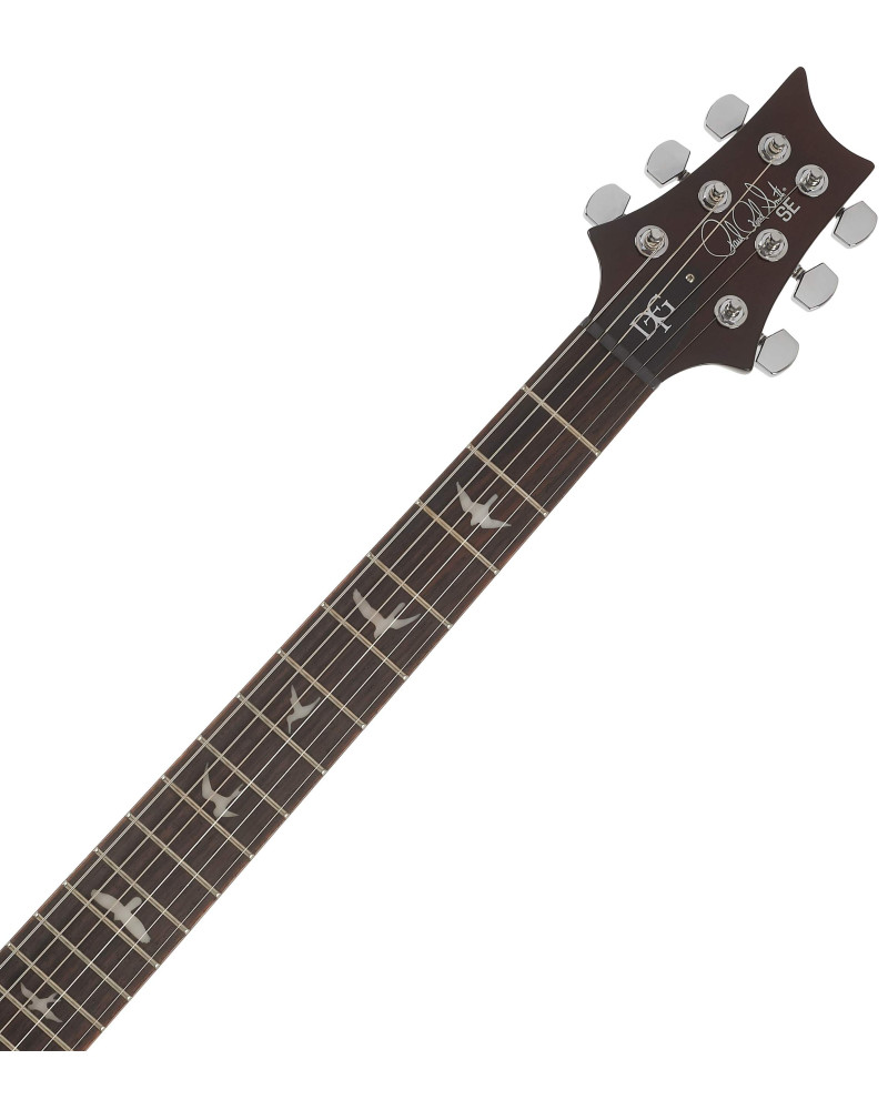 PRS SE DGT Birds Mccarty Tobacco Sunburst 2026