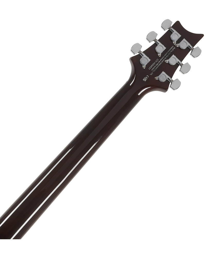 PRS SE DGT Birds Mccarty Tobacco Sunburst 2026