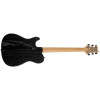 PRS SE NF 53 Black Doghair 2026