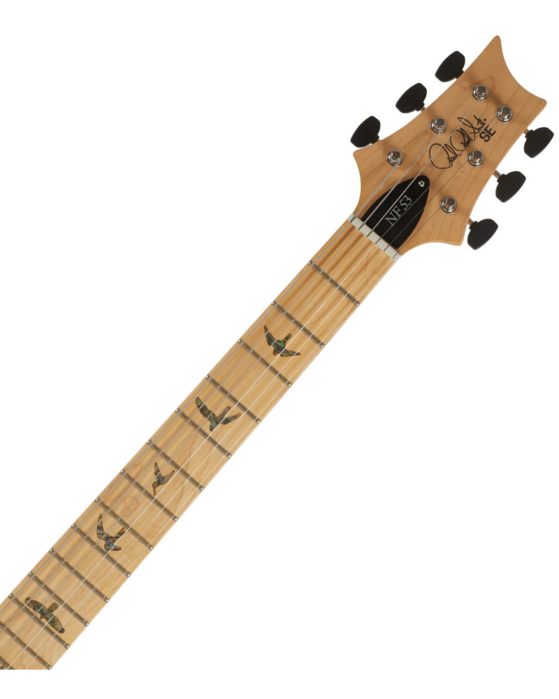 PRS SE NF 53 Black Doghair 2026