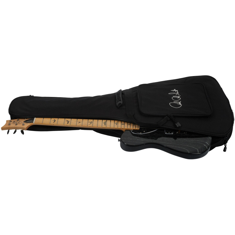 PRS SE NF 53 Black Doghair 2026