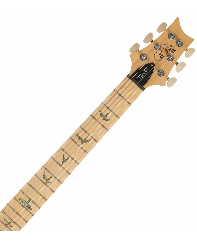 PRS SE Swamp Ash Special Iri Blue 2026