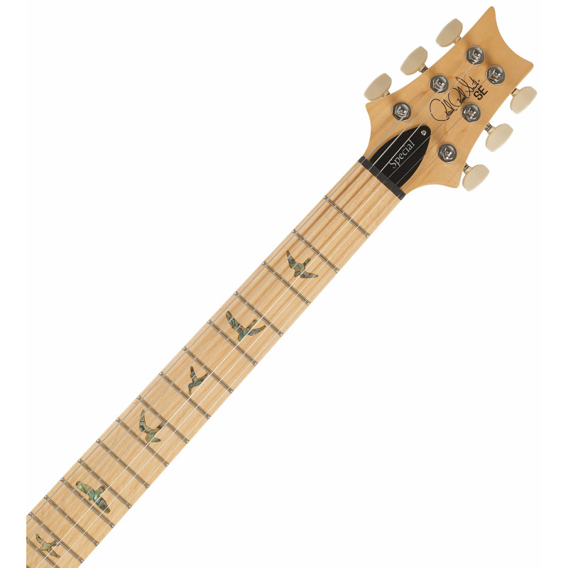 PRS SE Swamp Ash Special Iri Blue 2026