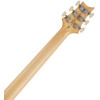 PRS SE Swamp Ash Special Iri Blue 2026