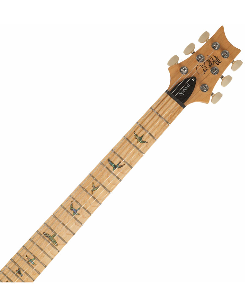 PRS SE Swamp Ash Special Charcoal 2026