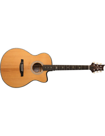 PRS SE A50 Angelus Black Gold 2026