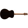 PRS SE T60 Tonare Natural 2026