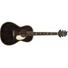 PRS SE P20 Parlor Dog Hair 2026