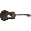 PRS SE P20 Parlor Dog Hair 2026