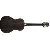 PRS SE P20 Parlor Dog Hair 2026
