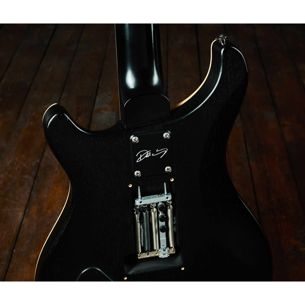 PRS 2023 Dustie Waring CE24
