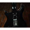 PRS 2023 Dustie Waring CE24