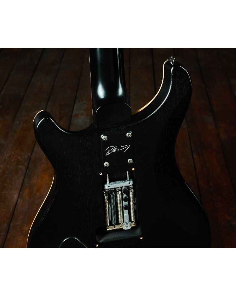 PRS 2023 Dustie Waring CE24