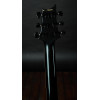 PRS 2023 Dustie Waring CE24