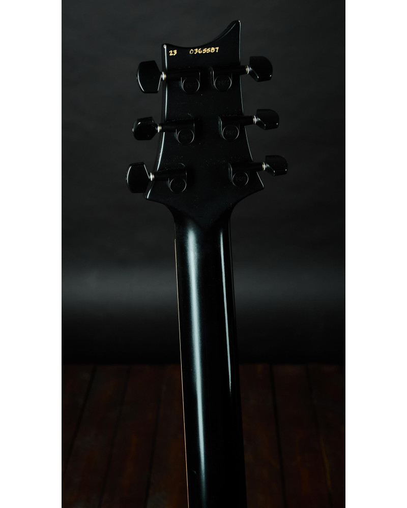 PRS 2023 Dustie Waring CE24