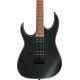 Ibanez RG421EXL-BKF