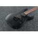 Ibanez RGRT421-WK