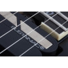Schecter C-1 FR S SLS Elite Evil Twin Satin Black