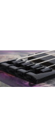 Schecter Riot-4 Bass Aurora Burst (ARB)