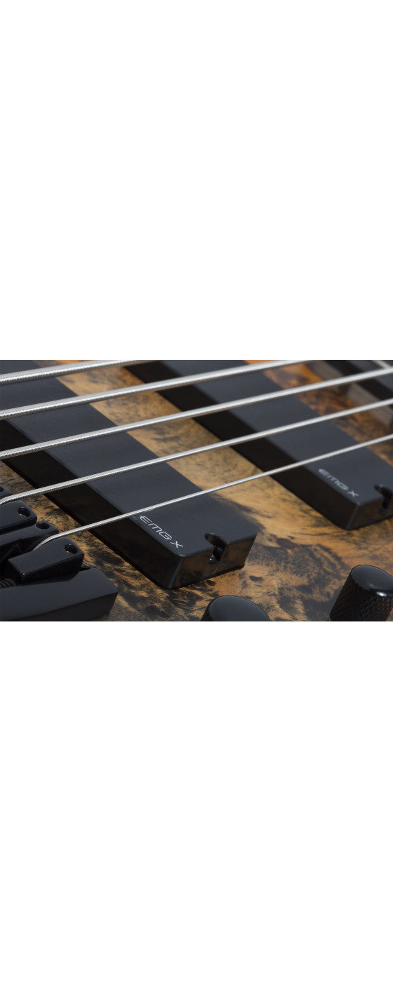 Schecter Riot-5 Bass Inferno Burst