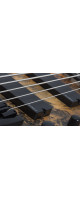 Schecter Riot-5 Bass Inferno Burst