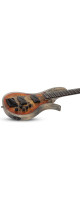 Schecter Riot-5 Bass Inferno Burst