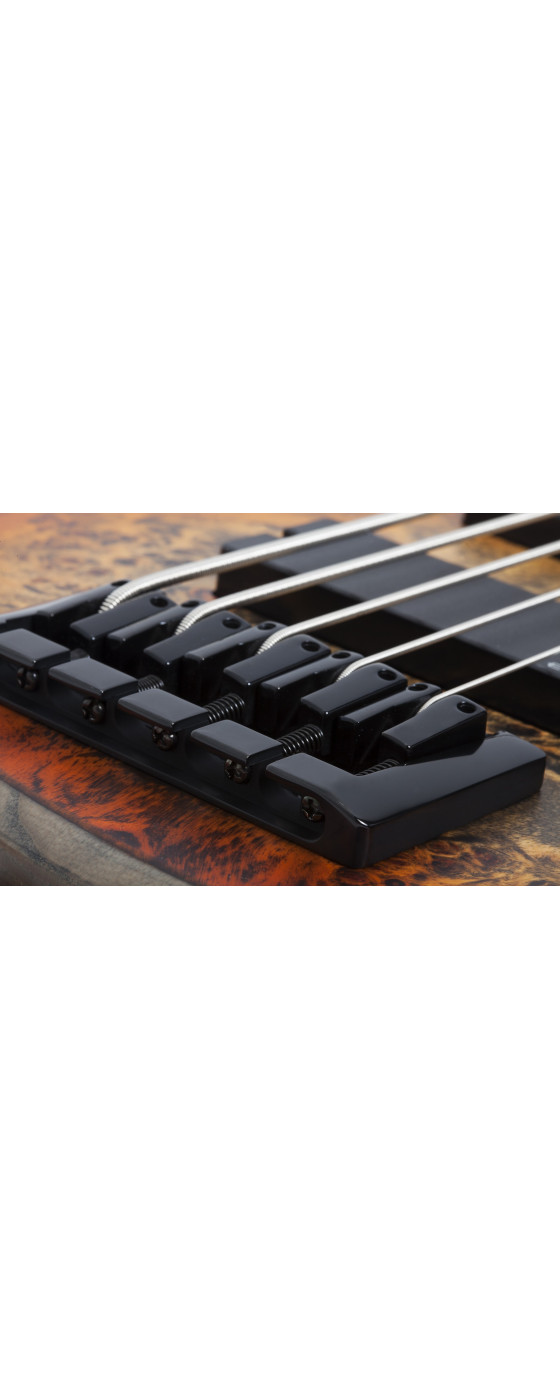 Schecter Riot-5 Bass Inferno Burst