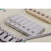 Schecter Nick Johnston Traditional H/S/S Atomic Green