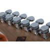 Schecter Nick Johnston Traditional H/S/S Atomic Green