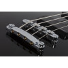 Schecter Corsair Bass Gloss Black (BLK)